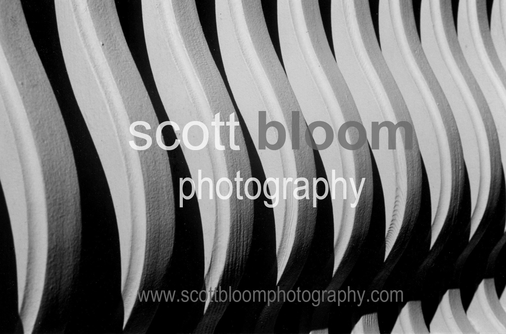 Scott Bloom Photography logo